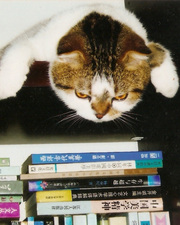 蕭義玲圖片